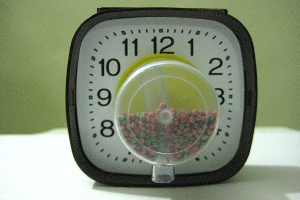 саморобна автоматична годівниця з годинника