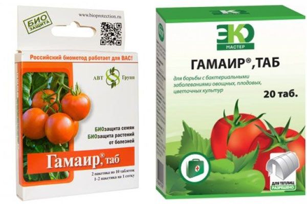 гамаір проти хвороб томатів