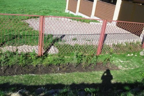 посаджена огорожа