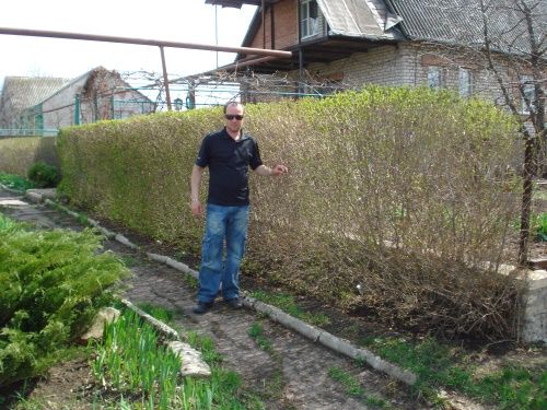 огорожа навесні