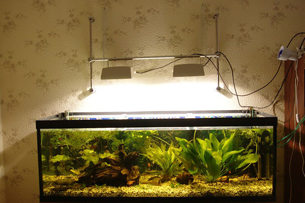 світло для рослин в акваріумі