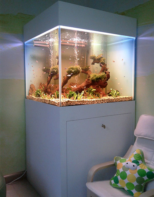 організація освітлення акваріума