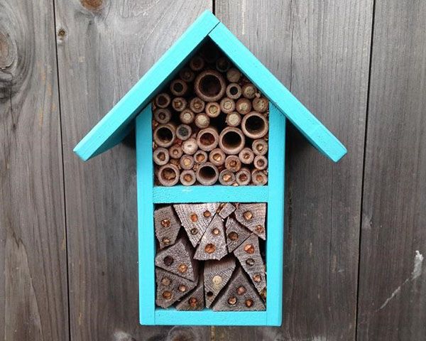 будинок для одиночних бджіл