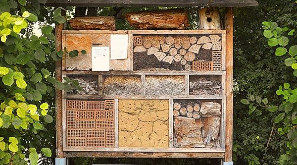 конструкція будинку для одиночних бджіл
