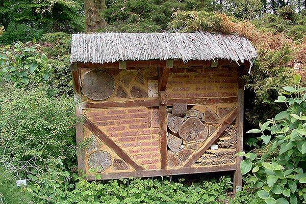 будиночок для бджіл в лісі