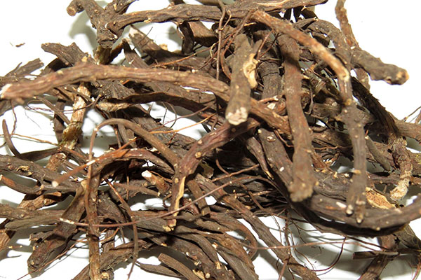 сухі коріння перстачу білої