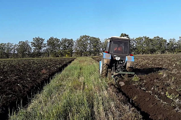 глибока оранка