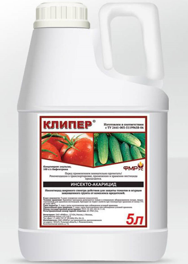 кліпер проти жука короїда