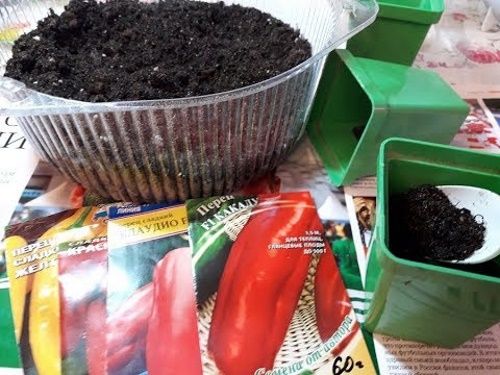 як садити перець