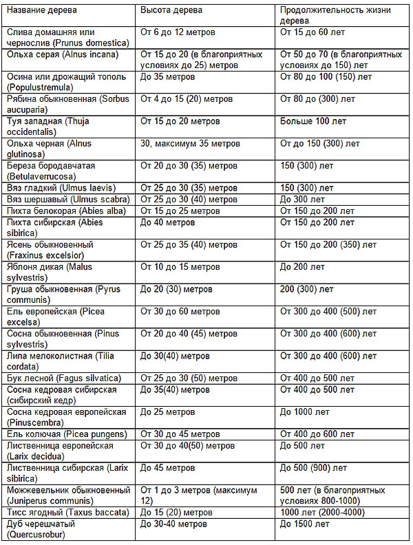 тривалість життя дерев таблиця