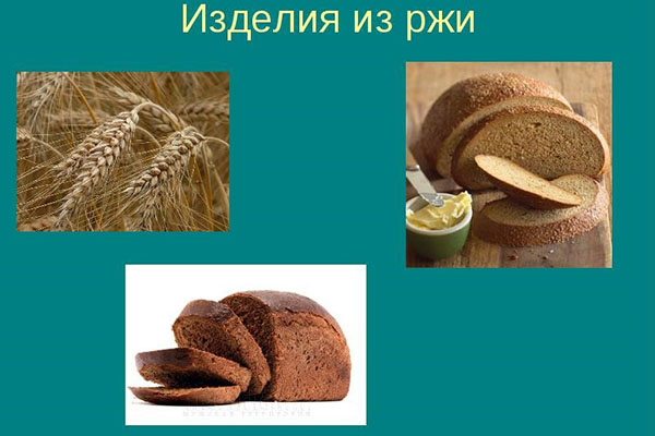 Из какой зерновой культуры делают хлеб. Продукция из ржи. Хлеб из ржи. Из ржи мучные изделия. Продукты из ржи.