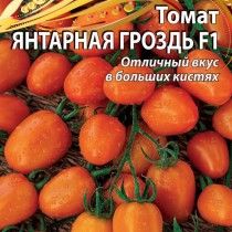 Томат «Бурштинова гроно» - черрі-томат з соковитими смачними плодами!
