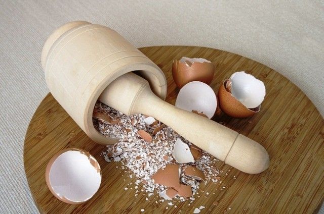 Щоб використовувати яєчну шкаралупу в якості добрива, необхідно перетворити її в порошок