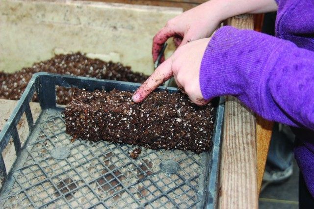 Сформовані брикети почвосмеси для розсади
