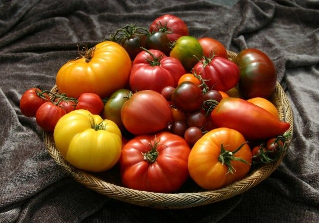 томати