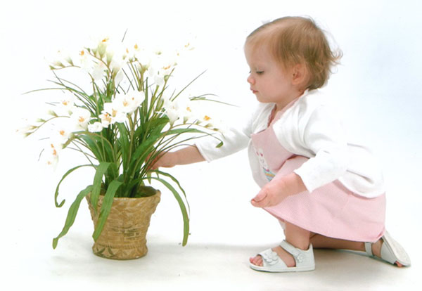 небезпечні для дитини квіти