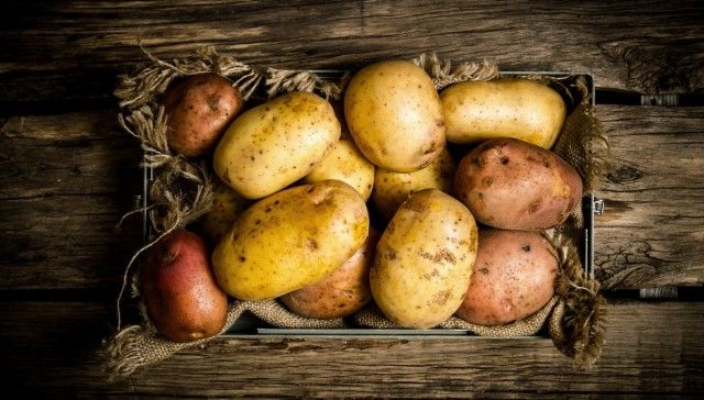Чому гниє картопля при зберіганні, і як цього уникнути?