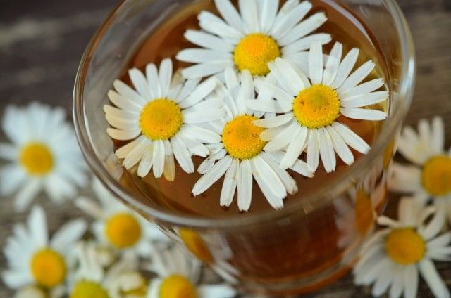 У ромашковий чай бажано додавати мед