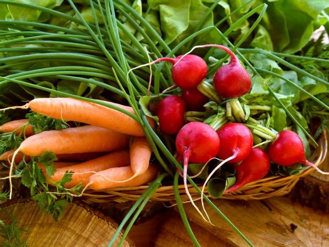 9 овочів для «швидкого» врожаю