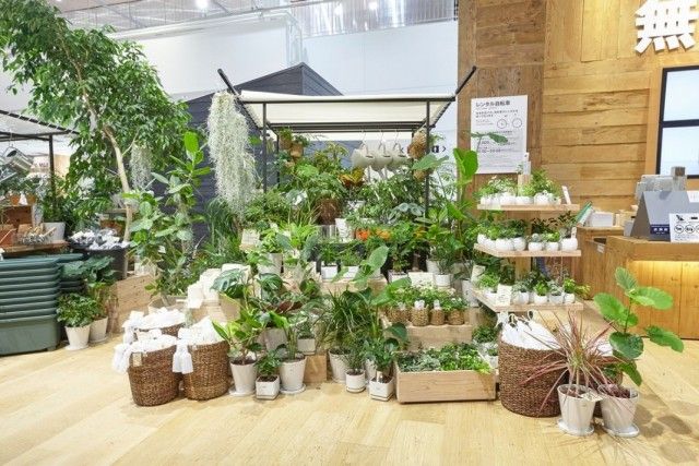 Павільйон продажів кімнатних рослин в торговому центрі