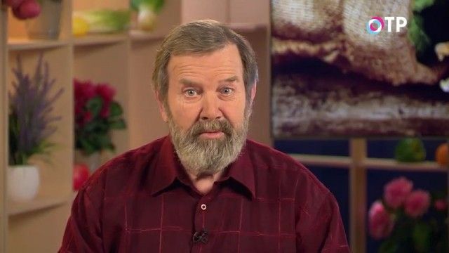 На що звернути увагу при виборі насіння огірків? Вдалі поради. Відео