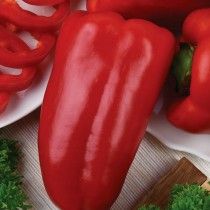 Перець солодкий «сочнікі»
