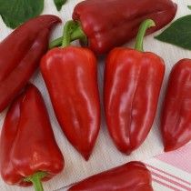 Перець солодкий «Білогір'я F1»
