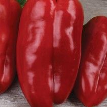 Перець солодкий «Здоровань»