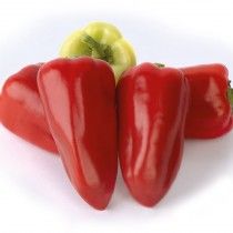 Перець солодкий «Ростовський ювілейний»