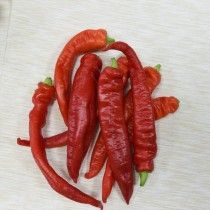 Перець гострий «Червоний товстун»