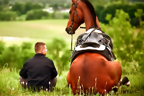 дружба між чоловіком і конем