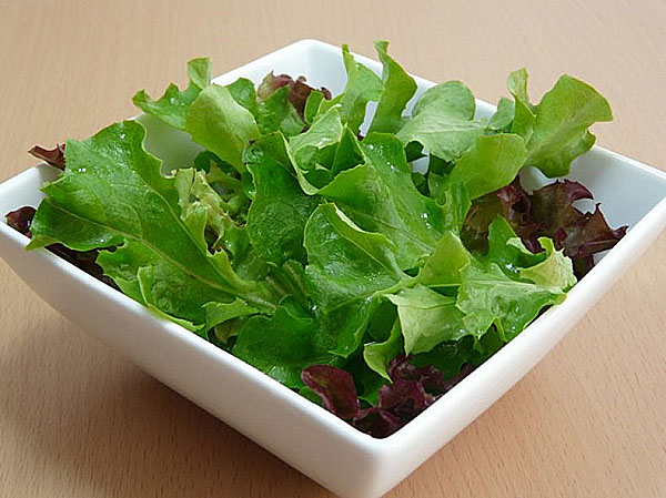 салат латук в кулінарії