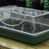 Пропагатор EarlyGrow MPL50031 / P