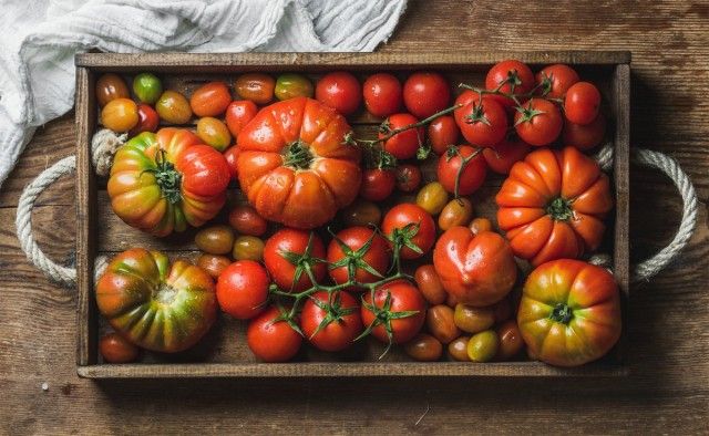 13 перевірених сортів томатів, які я рекомендую посадити