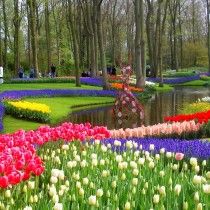Щороку виставка квітів у парку Кекенхоф присвячена різній тематиці