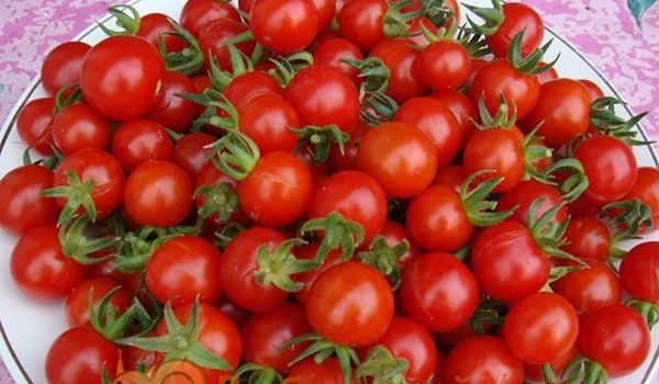 Черрі томати