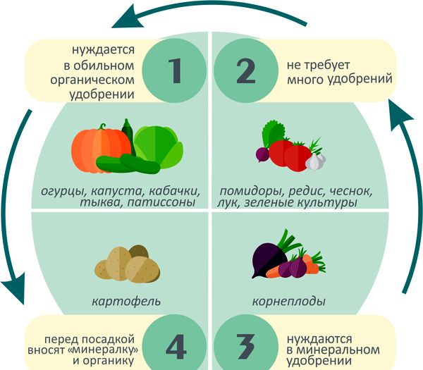 Таблиця сівозміни овочевих культур
