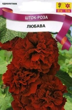 Шток троянда Любава