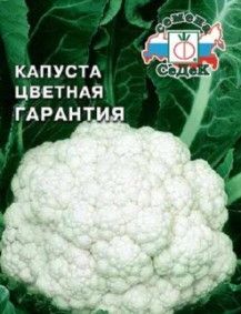 Фото сорти Гарантія