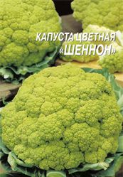 сорт Шеннон