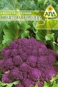 Сорт Фіолетова Королева