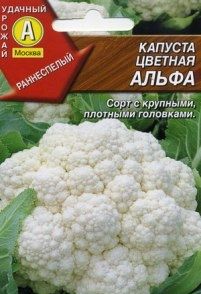 Сорт цвітної капусти Альфа