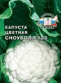 Сорт Сноуболл 123