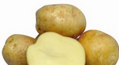 сорту картоплі опис