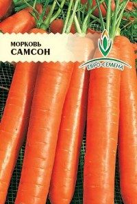 морква самсон