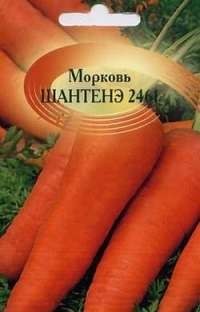 Кращі сорти моркви з фото і описом