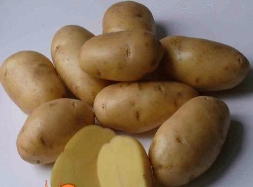 Cорт картоплі фото і опис