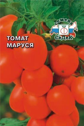 Сорти помідорів з фото і описом