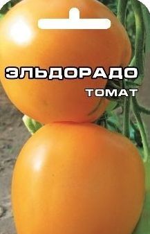 Сорт помідор з фото
