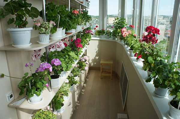 полки для квітів на балконі
